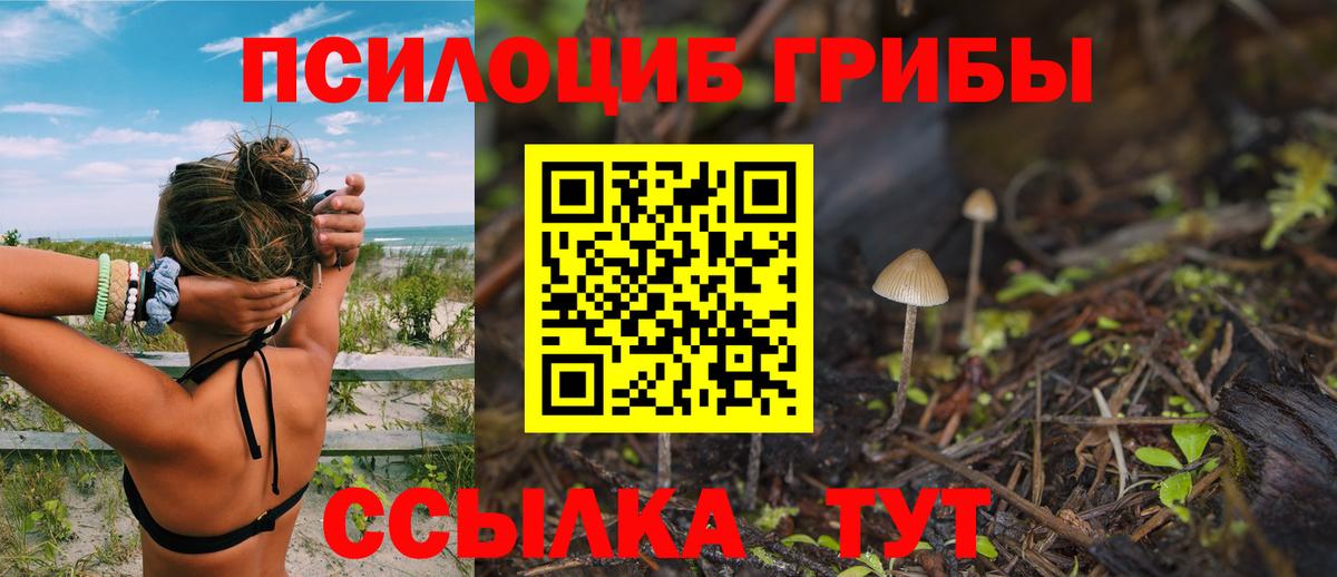 Псилоцибиновые грибы Psilocybe  Вход с VPN  закладки  Южноуральск 
